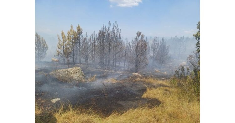 Пенсионери от Севлиево дариха 500 лв. на пострадалите от пожара в Болярово