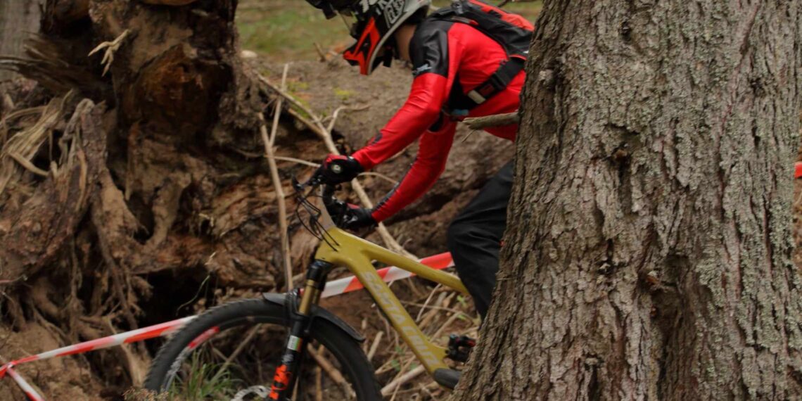 Йордан и Стиви – отново на почетната стълбица