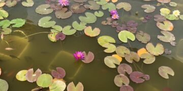 История, море и планина – събрани в края на с.Столът