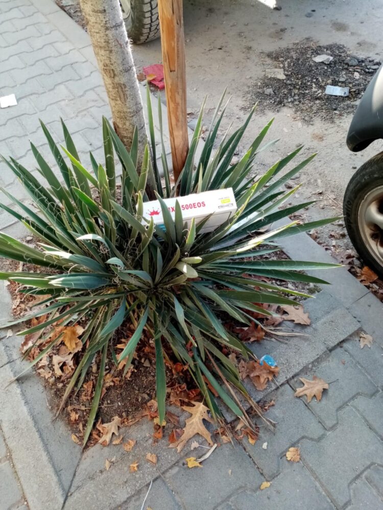 Инж. Димитър Ножаров: “Борбата с вандалите задължително ще продължи! Трябва  да минем в контранастъпление!”