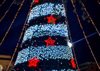 Коледа наближава, грейнаха празничните светлини