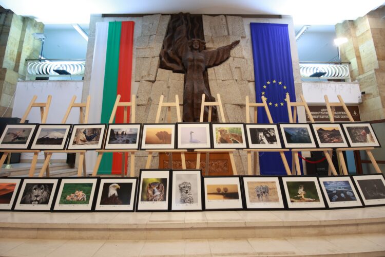 Творбите на 18 български автори намериха място в изложбата на фотосалон “Дивото”