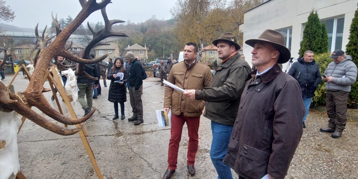 България – световен лидер по отношение на качеството на популацията от благороден елен