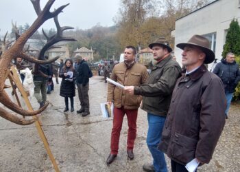 България – световен лидер по отношение на качеството на популацията от благороден елен