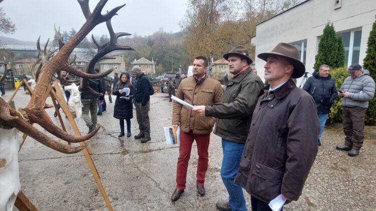 България – световен лидер по отношение на качеството на популацията от благороден елен