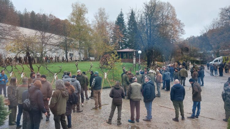 България – световен лидер по отношение на качеството на популацията от благороден елен