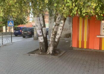 Дали починалите наши близки биха одобрили некролозите им да висят по дървета и огради, забравени от години?