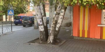 Дали починалите наши близки биха одобрили некролозите им да висят по дървета и огради, забравени от години?