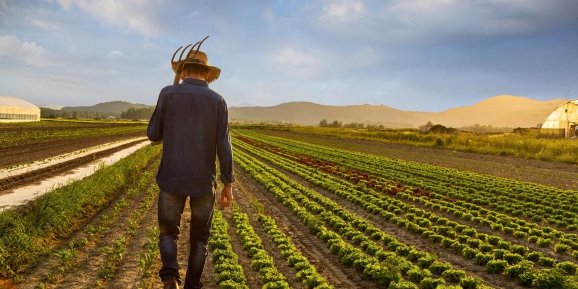 До края на декември земеделците избират как да облагат доходите си за 5 години напред