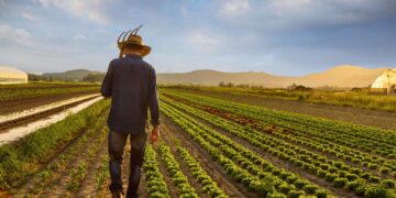 До края на декември земеделците избират как да облагат доходите си за 5 години напред