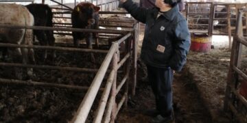 Традицията да се празнува Силвестри в с. Богатово продължава