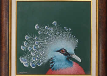 Музеят на хумора и сатирата Габрово представя “Светове”