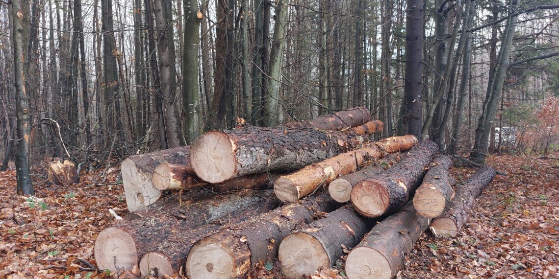 7 каруци и едно МПС на бракониери задържани през януари