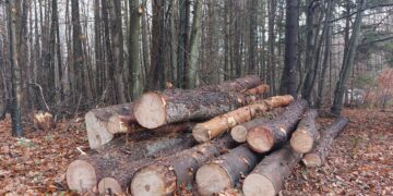 7 каруци и едно МПС на бракониери задържани през януари