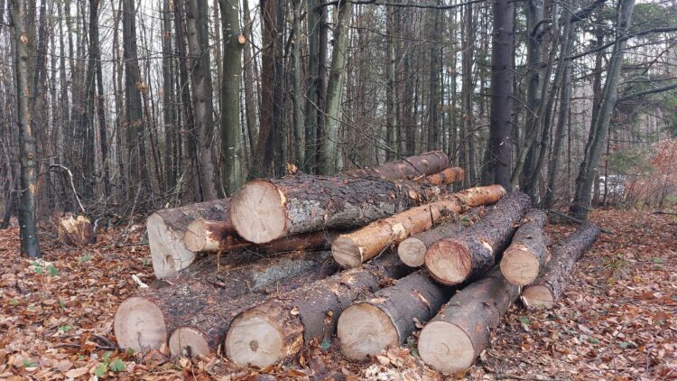 7 каруци и едно МПС на бракониери задържани през януари