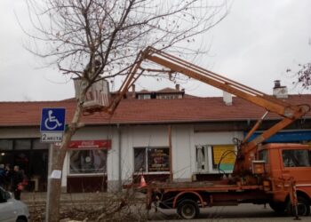 Започна пролетното подрязване на сухи клони от дърветата в Севлиево