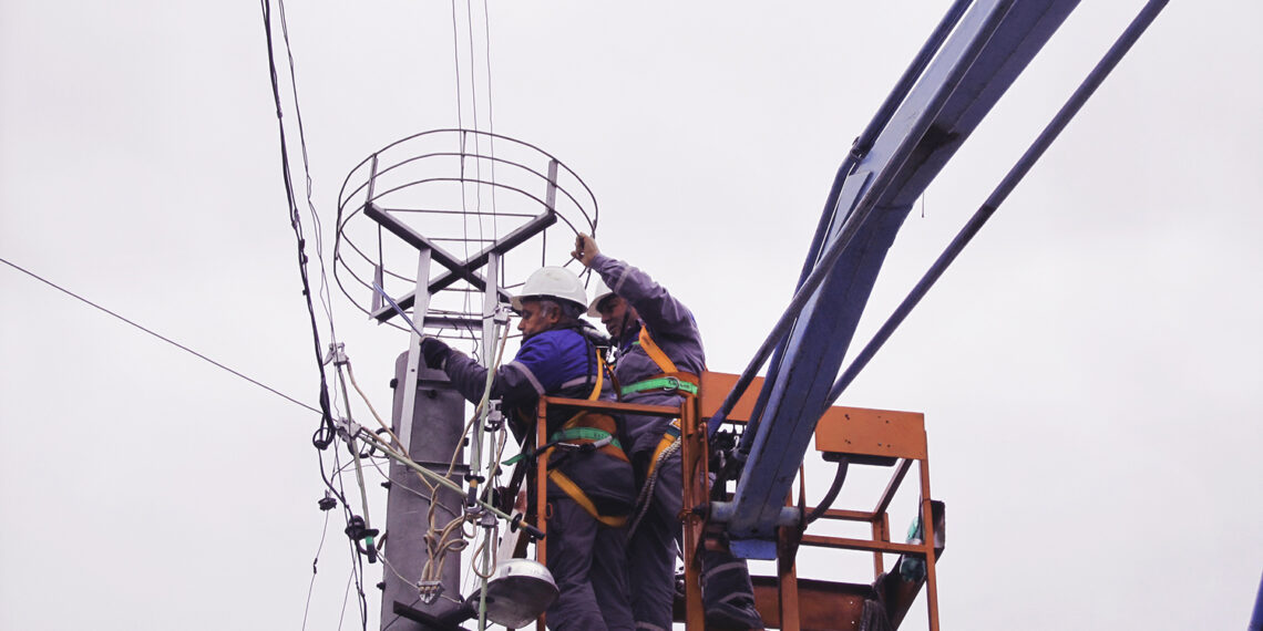 ЕРП Север монтира щъркелови платформи преди пролетната миграция на прелетните птици