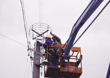 ЕРП Север монтира щъркелови платформи преди пролетната миграция на прелетните птици