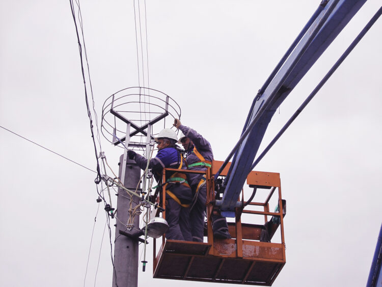 ЕРП Север монтира щъркелови платформи преди пролетната миграция на прелетните птици