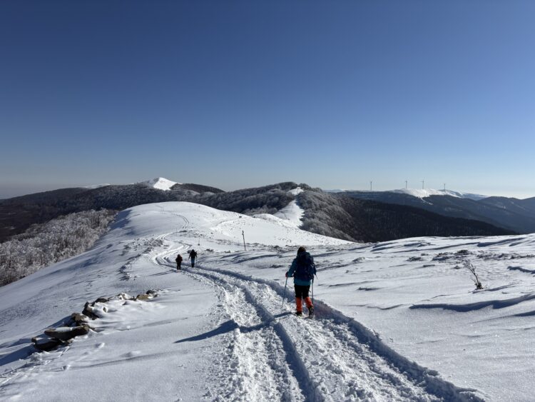 До Мазалат и обратно във вихъра на зимата