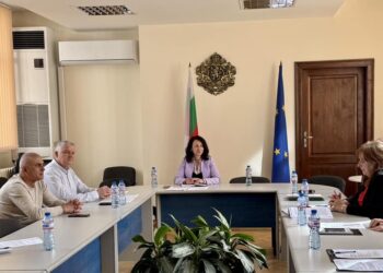 Областният управител свика среща за премахване на опасни дървета