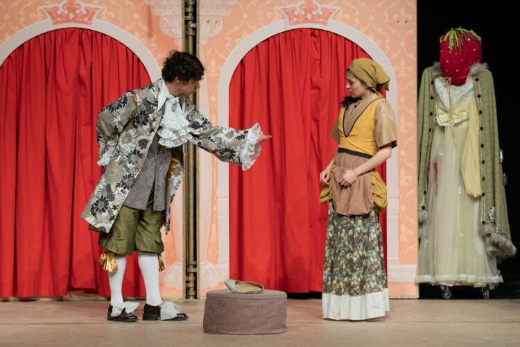 Габровският театър представя “Историята на Пепеляшка”