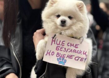 Мирен протест в защита на животните – утре пред Общината