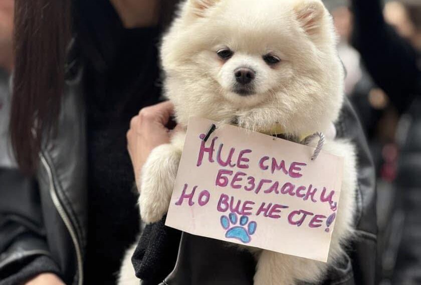 Мирен протест в защита на животните – утре пред Общината