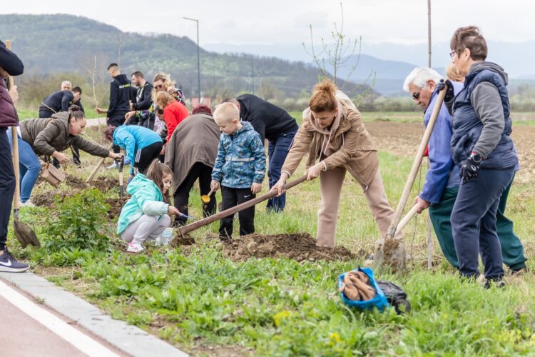 136 от общо 200 нови дръвчета засадиха севлиевци край велоалеята