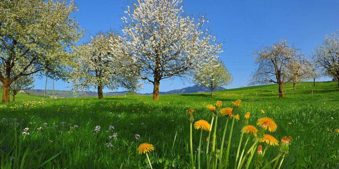 Месец май идва с много почивни и неучебни дни