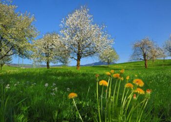 Месец май идва с много почивни и неучебни дни