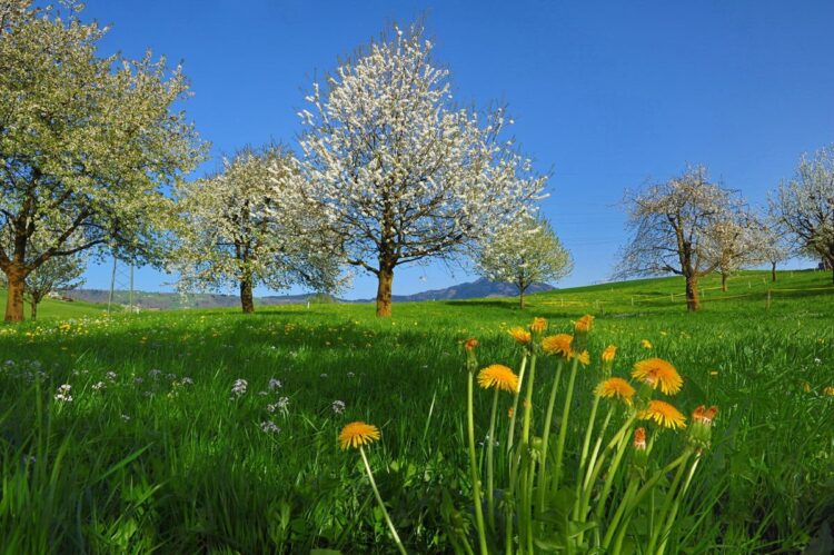 Месец май идва с много почивни и неучебни дни