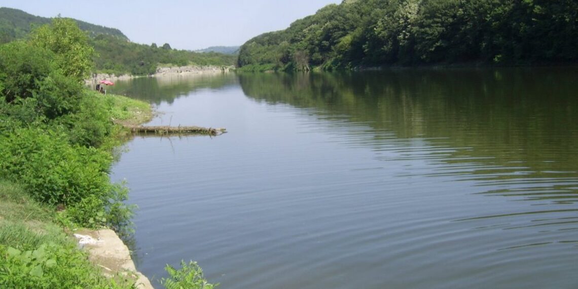 Върл бракониер изхвърли мрежите си в язовир “Ал. Стамболийски”, но и това не му помогна