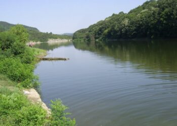 Върл бракониер изхвърли мрежите си в язовир “Ал. Стамболийски”, но и това не му помогна