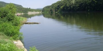 Върл бракониер изхвърли мрежите си в язовир “Ал. Стамболийски”, но и това не му помогна