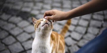 Що за човек си ти, който изпитваш удоволствие да убиваш животни?