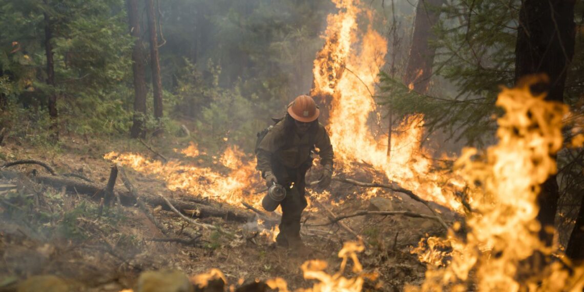 Отворени врати и обучение за реакция при горски пожари и бедствия в област Габрово