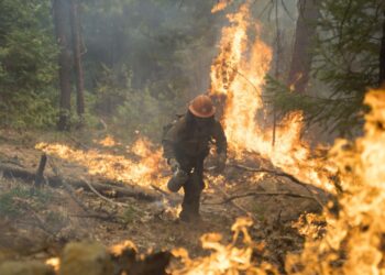 Отворени врати и обучение за реакция при горски пожари и бедствия в област Габрово