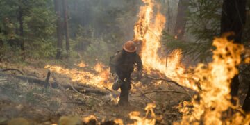 Отворени врати и обучение за реакция при горски пожари и бедствия в област Габрово