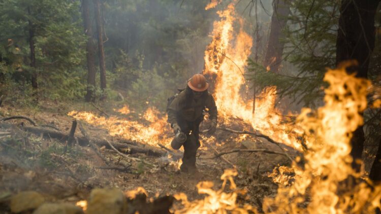 Отворени врати и обучение за реакция при горски пожари и бедствия в област Габрово