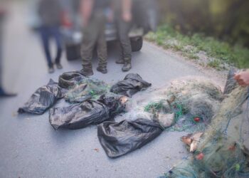 Бракониерът от габровския язовир имал актове за над 30 000 лв., хващаха го и в Севлиевско