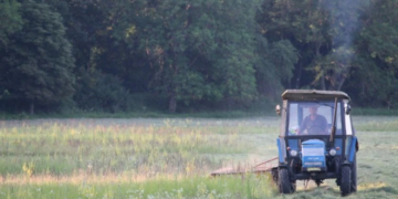 Влизат в сила ограничения за косене и почистване в земеделските земи до 1 септември