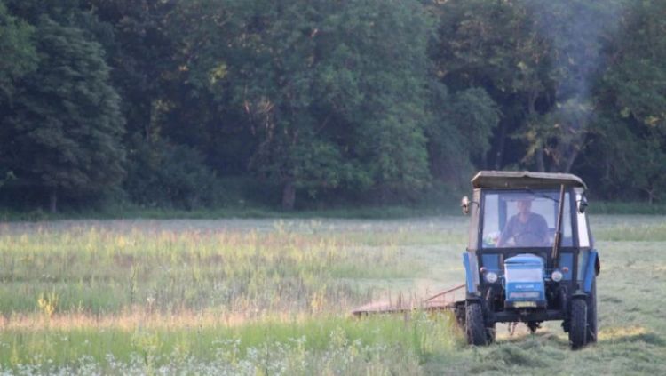 Влизат в сила ограничения за косене и почистване в земеделските земи до 1 септември