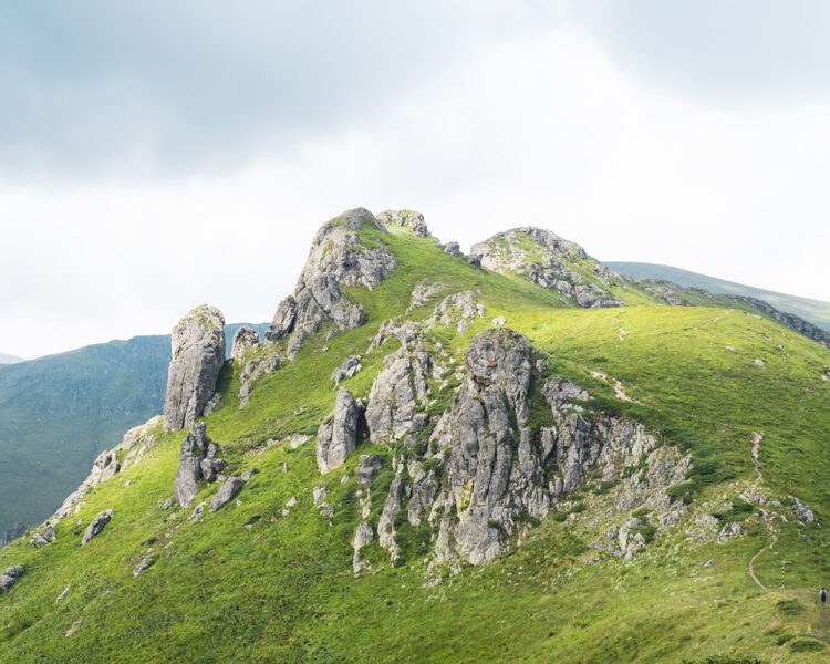 46 години от обявяването на резерват “Пеещи скали”