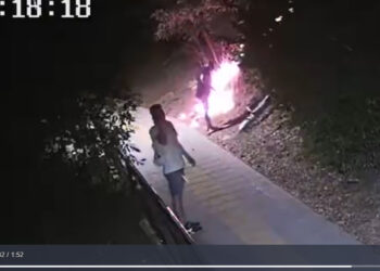 Габровски и севлиевски пожарникари гасили във В. Търново безумния палеж на дряновеца