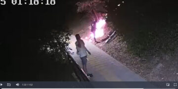 Габровски и севлиевски пожарникари гасили във В. Търново безумния палеж на дряновеца