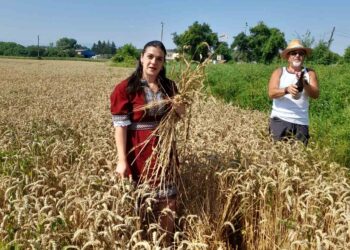 Жътвата започна с обред и надежда за богата реколта в ЗППК “Росица” – Севлиево