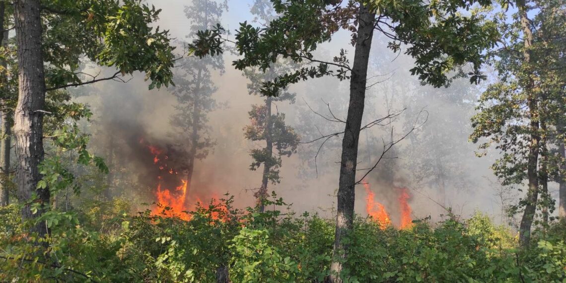 1 522 дка гори са изгорели през юли в Централна Северна България