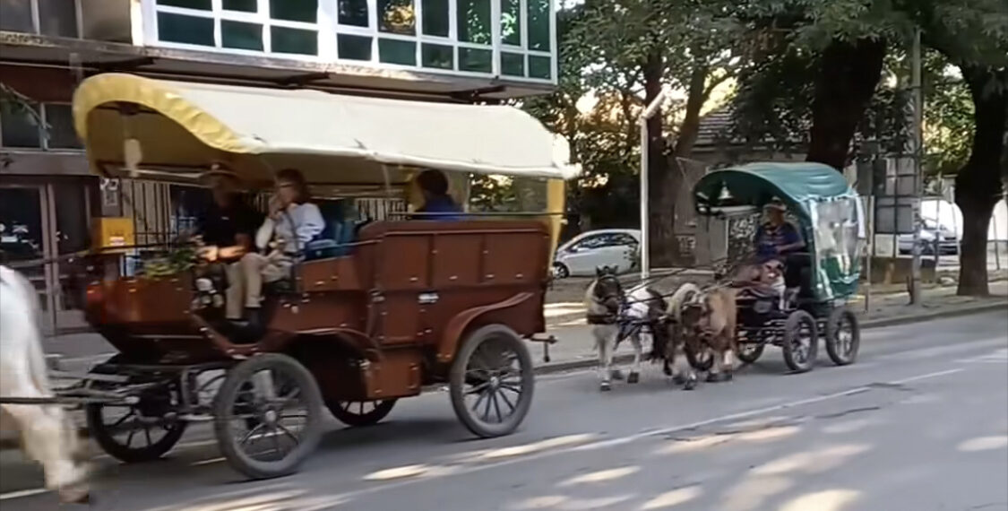 Конвоят на мира премина през Севлиево