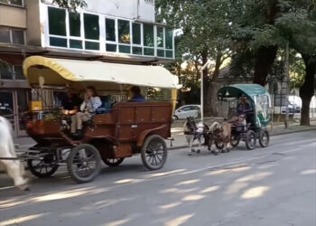 Конвоят на мира премина през Севлиево
